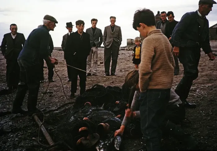 Framed Print : Men and boys netting wild salmon on the beach, River Tweed, Berwick on Tweed, Northumberland, England, UK 1965 Framed Print : Men and boys netting wild salmon on the beach, River Tweed, Berwick on Tweed, Northumberland, England, UK 1965