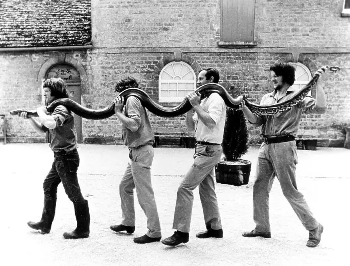 Framed Print : Four men carry a Python, England, Great Britain Framed Print : Four men carry a Python, England, Great Britain