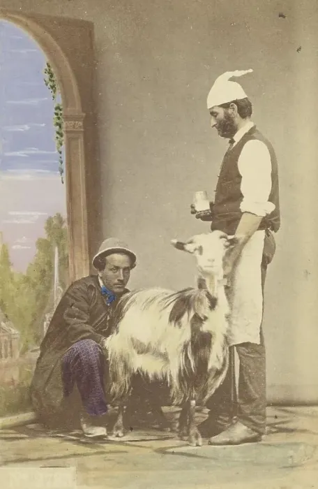 Framed Print : Two men with a goat, one of the men milking