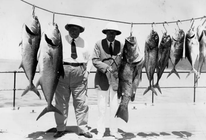 Framed Print : Two men pose with various captured groupers and mackerel Framed Print : Two men pose with various captured groupers and mackerel