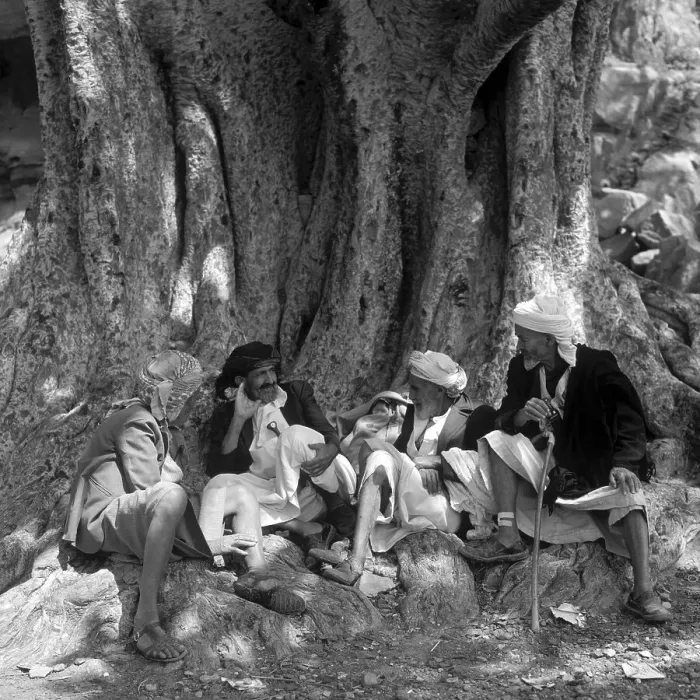 Framed Print : Men sitting under a very old tree in Wadi Dar, Yemen, Asia
