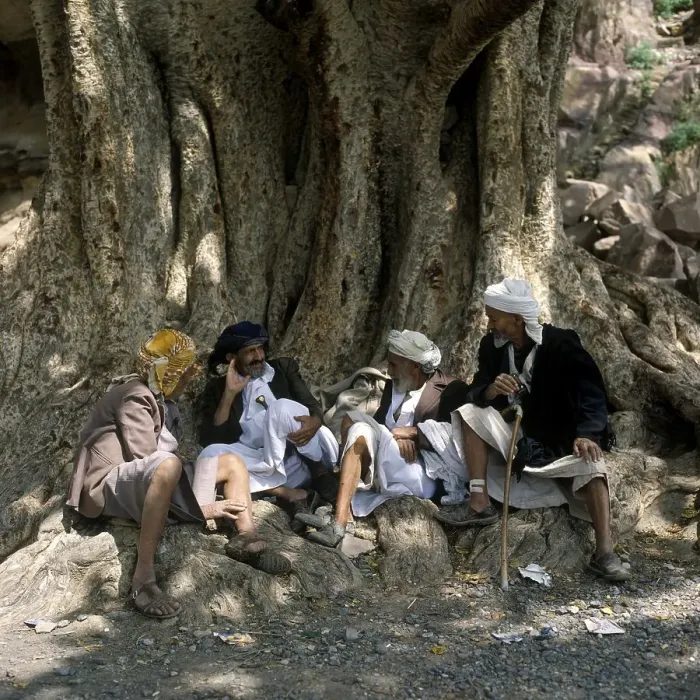 Framed Print : Men sitting under a very old tree in Wadi Dar, Yemen, Asia Framed Print : Men sitting under a very old tree in Wadi Dar, Yemen, Asia