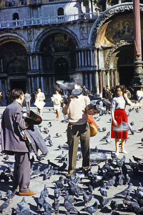 Framed Print : Menschen und Tauben auf dem Markusplatz, Piazza San Marco, Venedig, Italien 1959 Framed Print : Menschen und Tauben auf dem Markusplatz, Piazza San Marco, Venedig, Italien 1959