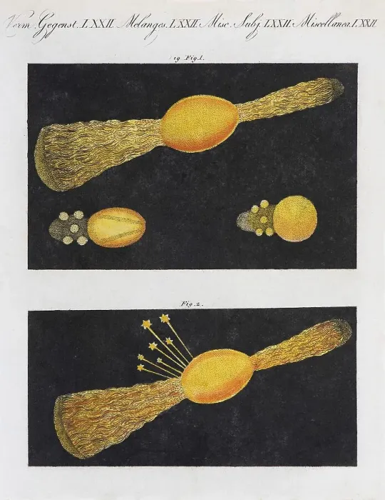 Framed Print : Meteor, hand-coloured copperplate engraving from Friedrich Justin Bertuch picture book for children