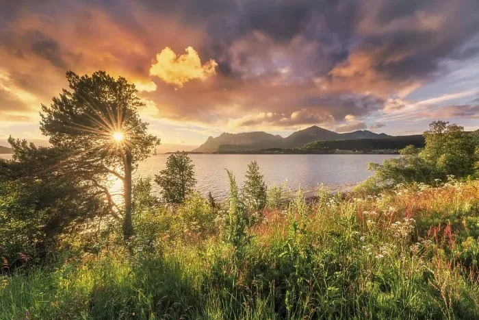 Framed Print : Midnight sun in midsummer by the fjord