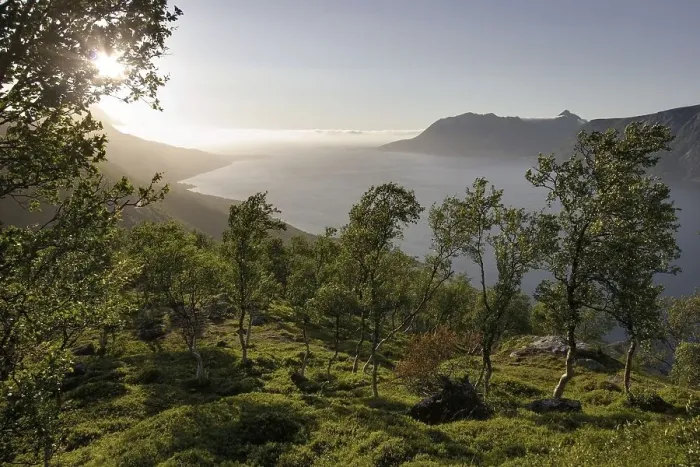 Framed Print : Midnight sun near Harstad, Hinnoy Framed Print : Midnight sun near Harstad, Hinnoy