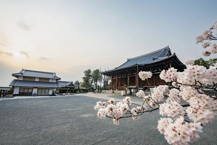 Framed Print : Mie-do and Kaian, Buddhist Temple and Cherry Blossom Framed Print : Mie-do and Kaian, Buddhist Temple and Cherry Blossom