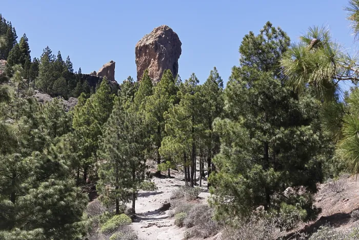 Framed Print : Mighty basalt rock Roque Nublo