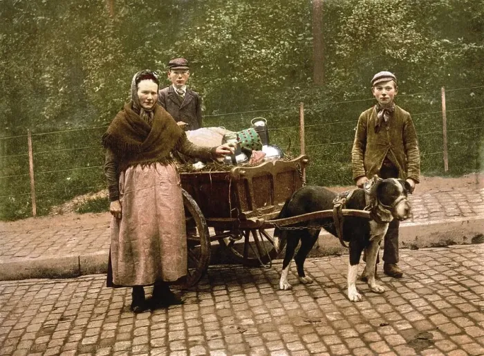 Framed Print : Milk seller, Brussels, Belgium