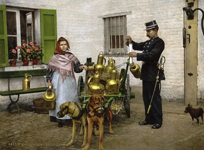 Framed Print : Milk seller with a cart pulled by dogs