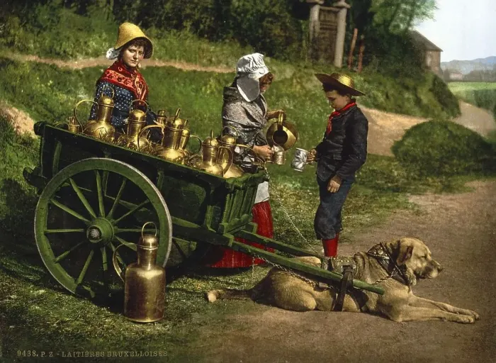 Framed Print : Milk seller with a cart pulled by dogs Framed Print : Milk seller with a cart pulled by dogs