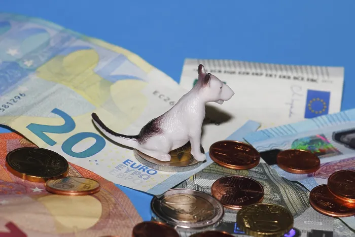 Framed Print : Miniature bull terrier figure sitting on euro coins surrounded by banknotes against a blue background