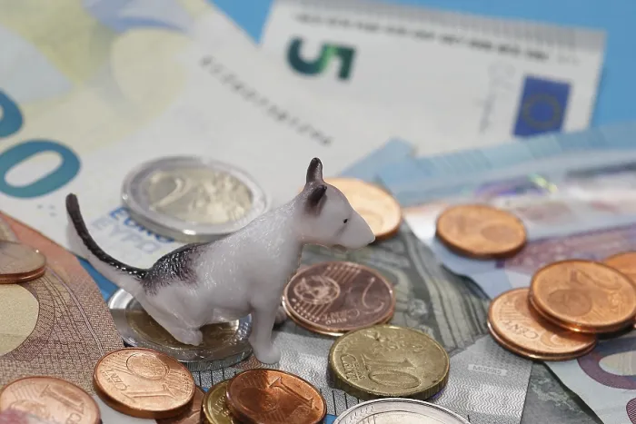 Framed Print : Miniature bull terrier figure sitting on euro coins surrounded by banknotes against a blue background Framed Print : Miniature bull terrier figure sitting on euro coins surrounded by banknotes against a blue background