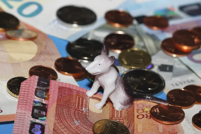 Framed Print : Miniature bull terrier figure sitting on euro coins surrounded by banknotes against a blue background