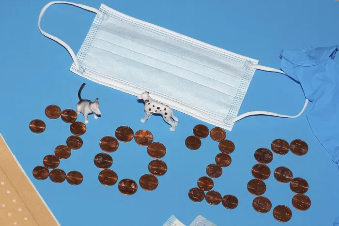Framed Print : Miniature dogs with medical devices and euro coins on a blue background