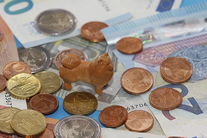 Framed Print : Miniature Kleinspitz figure standing on euro coins surrounded by banknotes Framed Print : Miniature Kleinspitz figure standing on euro coins surrounded by banknotes