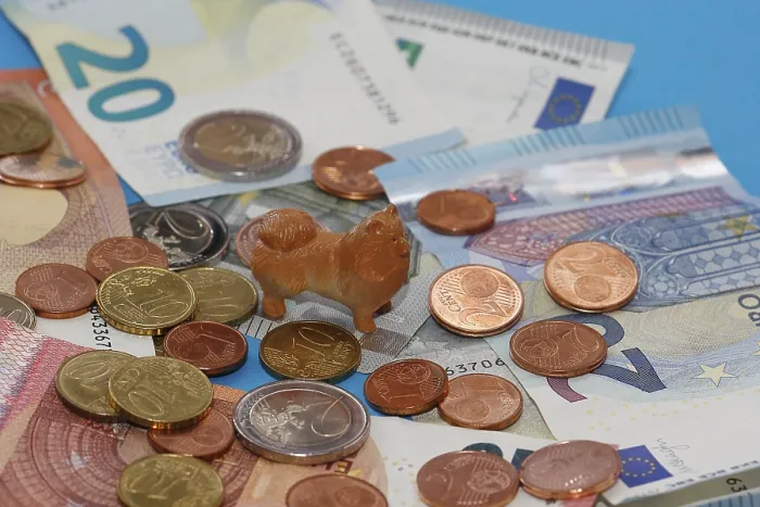 Framed Print : Miniature Kleinspitz figure standing on euro coins surrounded by banknotes