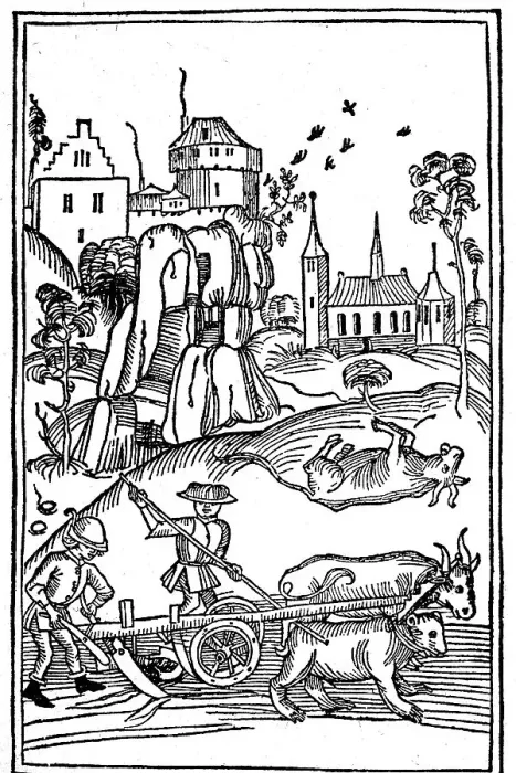 Framed Print : The Miracle of St. Lucius Putting a Bear to the Plough in Place of the Slain Ox