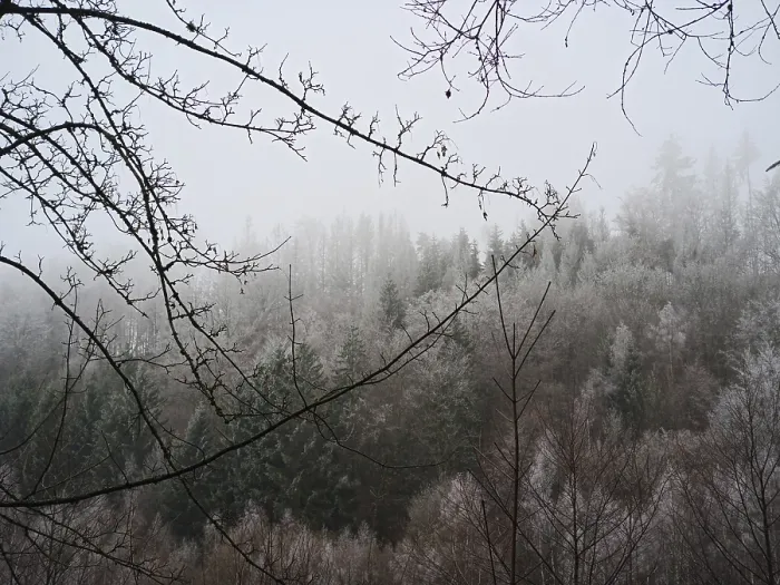 Framed Print : Misty forest on a hill, mystical winter landscape