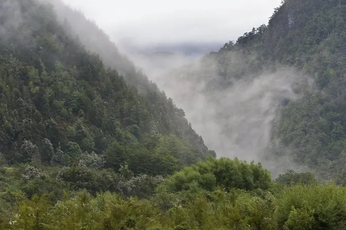Framed Print : Misty valley at the Kahurangi National Park