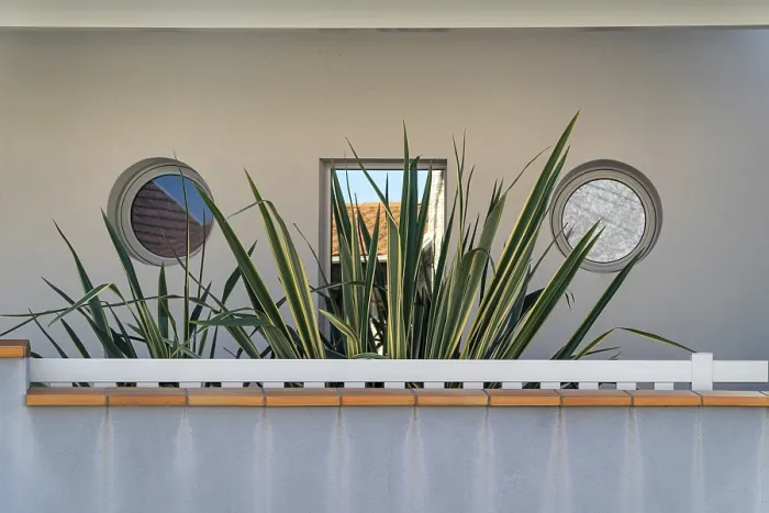 Framed Print : A modern home facade features a balcony lined with vibrant tropical plants