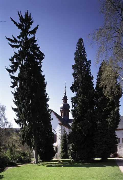 Framed Print : Monastery church, view from east, St