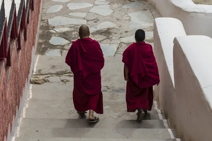 Framed Print : Two monks walking down some stairs in Thiksey Gompa monastery