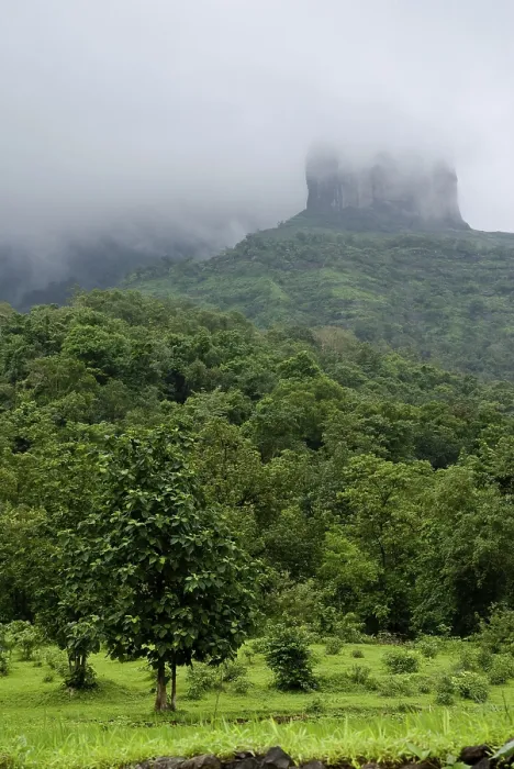 Framed Print : Monsoon clouds at Malshej ghat Thane Maharashtra India