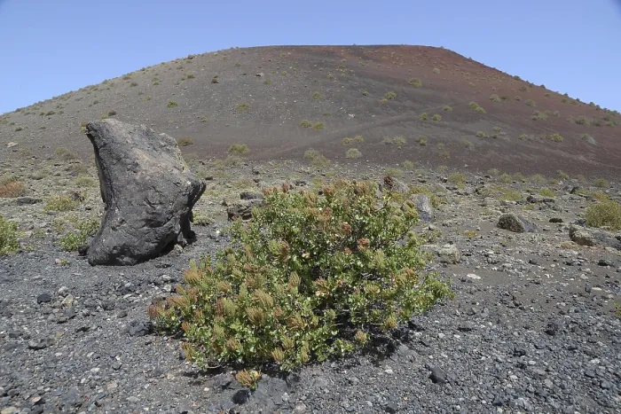 Framed Print : Montana Negra, Lanzarote