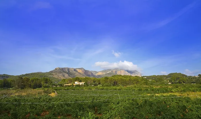 Framed Print : Montgo mountain and vineyards in alicante of spain Framed Print : Montgo mountain and vineyards in alicante of spain
