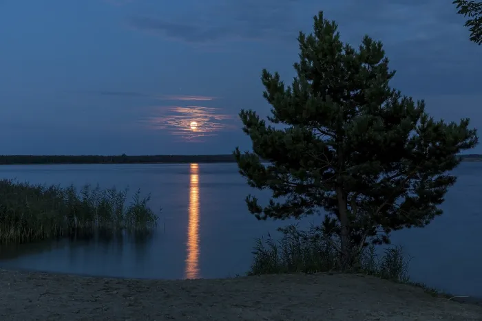 Framed Print : Full moon at Graebendorfer See near Laasow Framed Print : Full moon at Graebendorfer See near Laasow