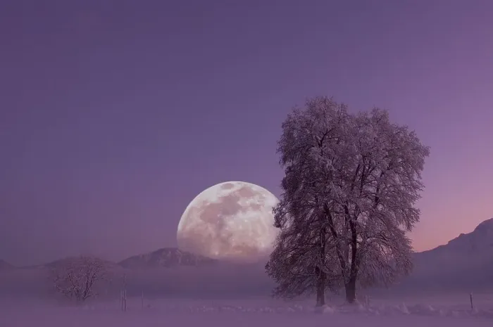 Framed Print : Full moon with landscape in winter Framed Print : Full moon with landscape in winter