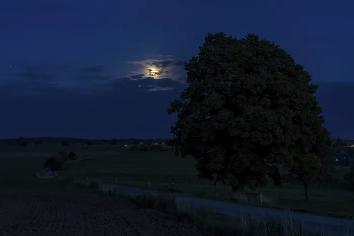 Framed Print : Full moon at the winter lime tree (Tilia cordata) near Leubsdorf