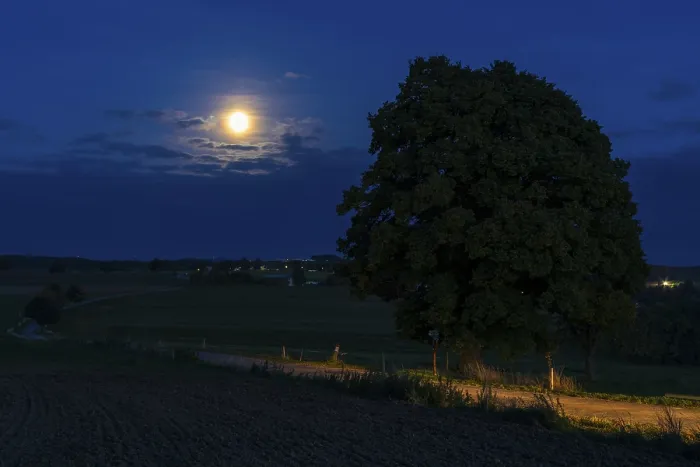 Framed Print : Full moon at the winter lime tree (Tilia cordata) near Leubsdorf