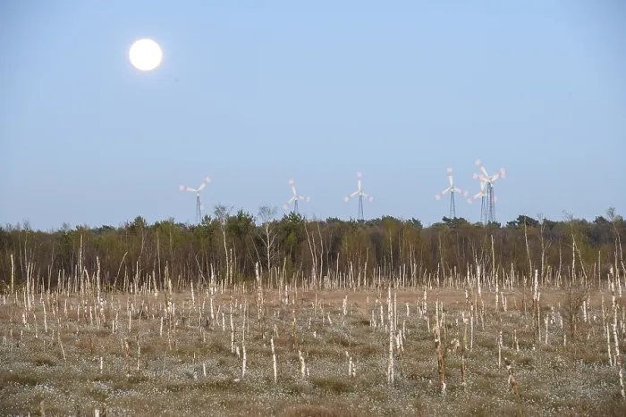Framed Print : Moor landscape in daylight with moon and wind turbines on the horizon Framed Print : Moor landscape in daylight with moon and wind turbines on the horizon