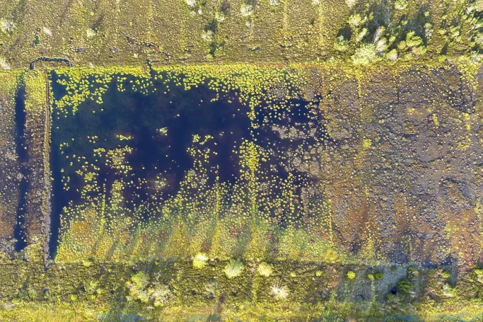 Framed Print : Moor renaturation, Konigsdorf Moor near Konigsdorf