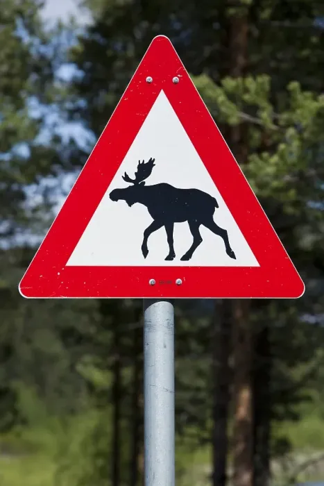 Framed Print : Moose warning sign, Norway, Scandinavia, Europe
