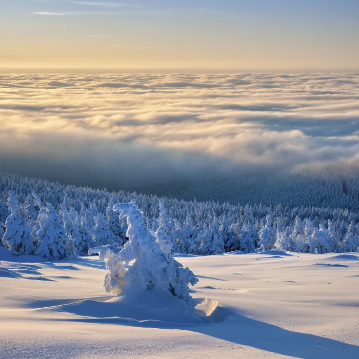 Framed Print : Morning atmosphere on the Brocken Framed Print : Morning atmosphere on the Brocken