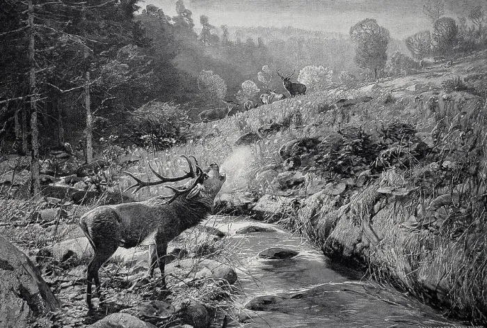Framed Print : Morning atmosphere in early autumn in the Harz Mountains