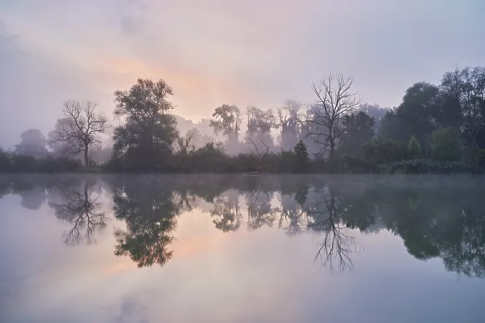 Framed Print : Morning atmosphere at the shallow lake with trees reflected in the water