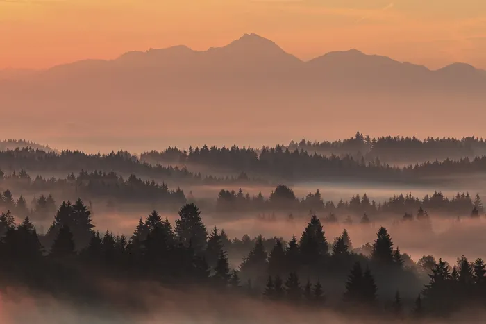 Framed Print : Morning fog over trees, mountains
