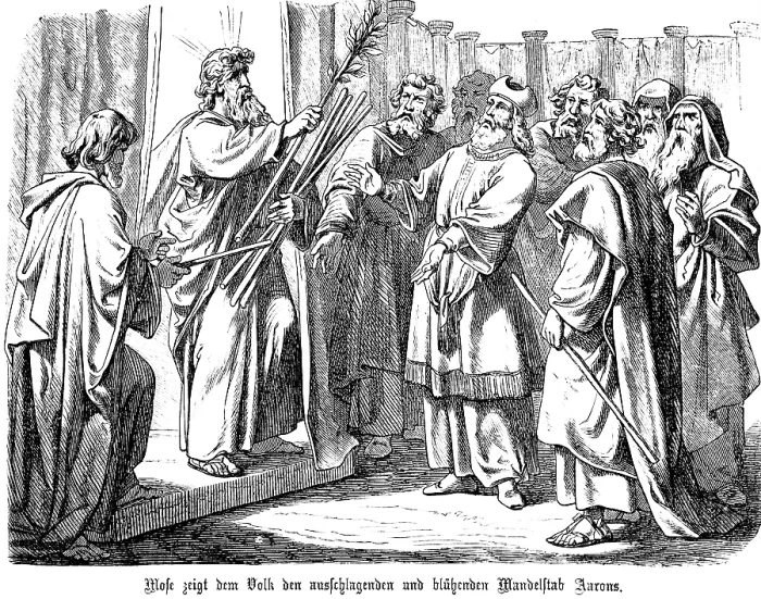 Framed Print : Moses shows the people the sprouting and blossoming almond staff of Aaron Framed Print : Moses shows the people the sprouting and blossoming almond staff of Aaron