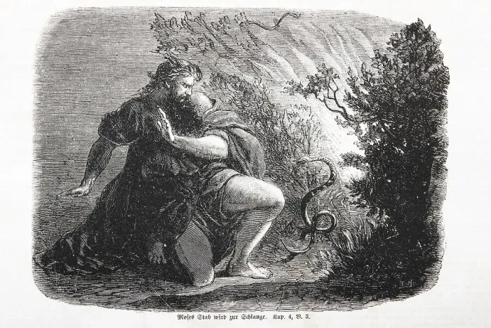 Framed Print : Moses Staff Becomes a Serpent