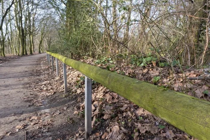 Framed Print : Moss-covered wooden railing bordering a tranquil path winding through a serene forest