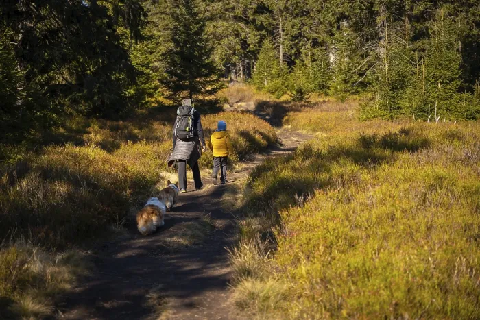 Framed Print : A mother with a child and a dog are walking along the mountain hiking trail