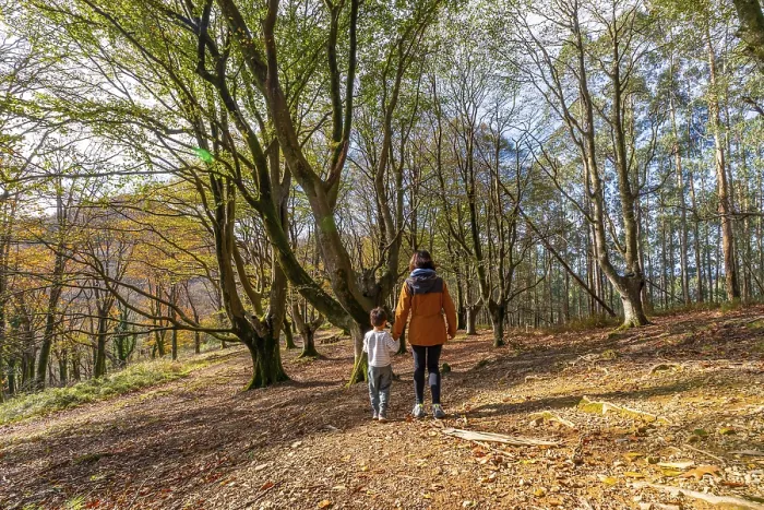 Framed Print : Mother and son enjoying a peaceful walk together through a mixed autumn forest