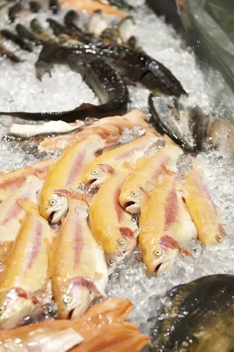 Framed Print : Motif with chilled fish in the refrigerated counter, Fish International Bremen trade fair, Bremen, Germany, Europe
