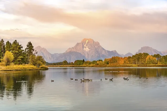 Framed Print : Mount Moran reflected in Snake River