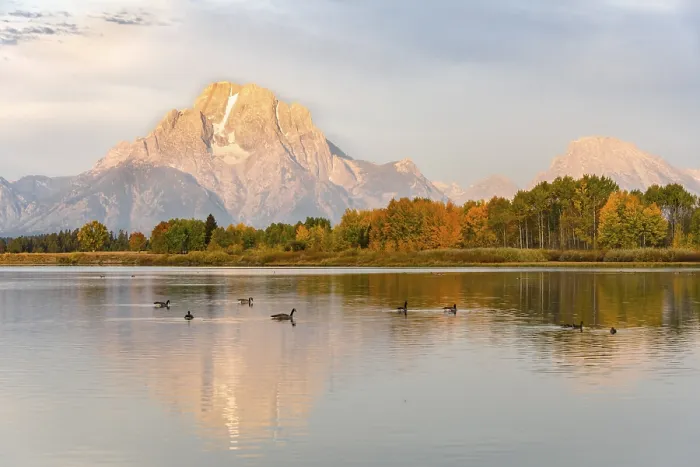 Framed Print : Mount Moran reflected in Snake River