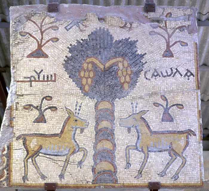 Framed Print : Mount Nebo, mosaic, Es-syagha mosaic floor